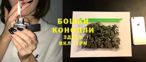 PSILOCYBIN Бородино